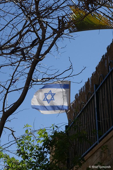 Flag on Fence 1