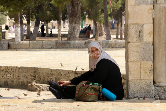 Arab Lady Sitting on Temple Mount
