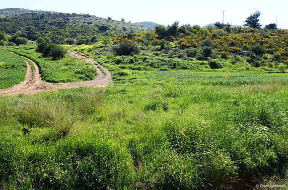 Fields Off Highway #3855 2