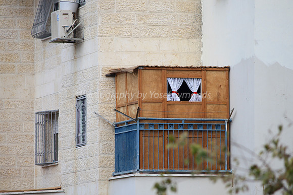 Wallflower Sukkah