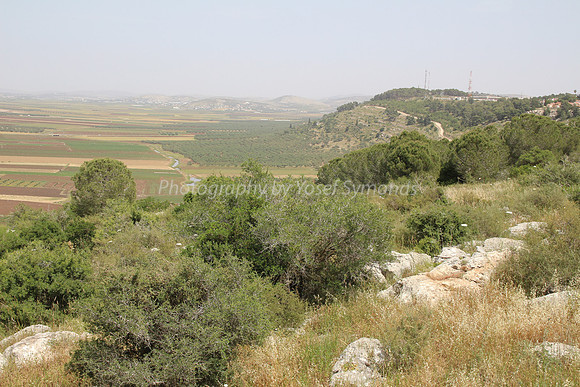 View of Dotan Valley from Maoz Tzvi 7