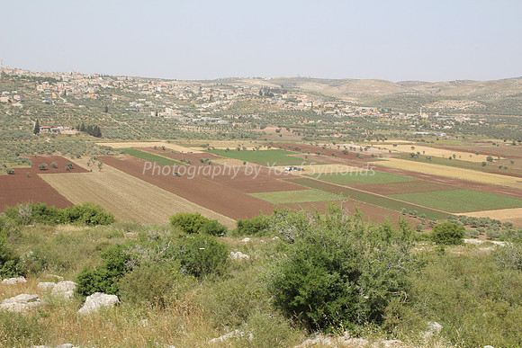 View of Dotan Valley from Maoz Tzvi 5
