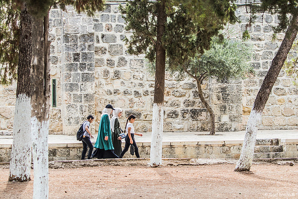 Young Arabs on Mount 220804-1