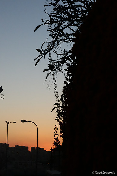 Sunset - RBSA Pavement