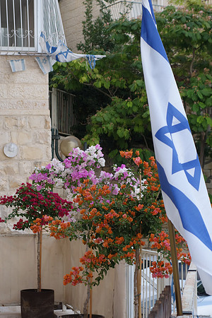 Flag and Flowers 3