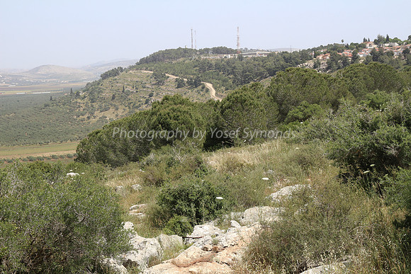 View of Dotan Valley from Maoz Tzvi 8