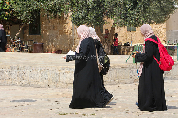 Arab Ladies Walking and Reading 1