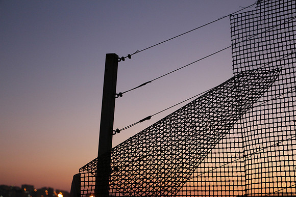 Garden Screen in Sunset 1