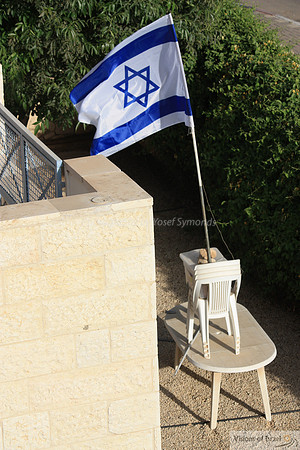 Israel Flag in Garden 1