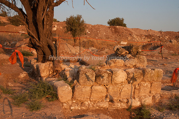 120711-Antiquities_b4sunset_5943-2