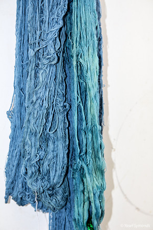 From Dye Solution to Drying 14