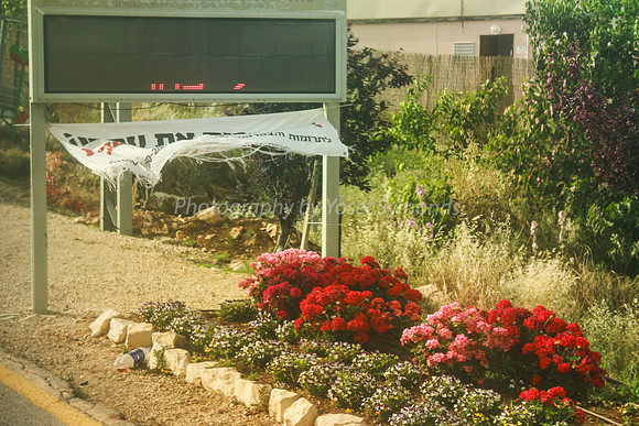 Nature and Modern Technology at Entrance to Yitzhar