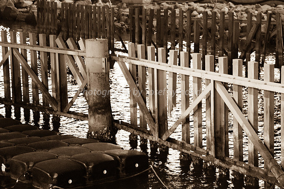 Fence in Lagoon 181008-2