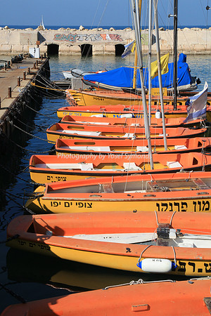 Jaffa Fishing Port