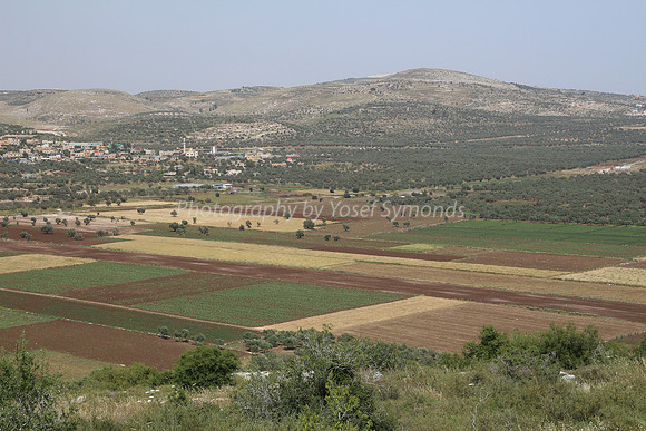 View of Dotan Valley from Maoz Tzvi 11