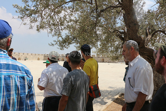 Jewish Visitors Paying Respects on Temple Mount 5