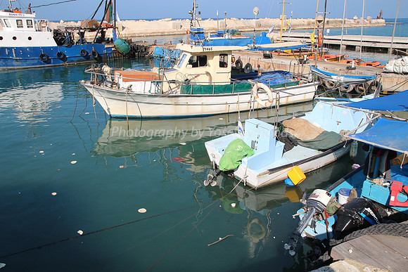 Jaffa Fishing Port