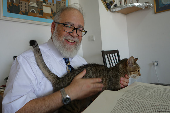 Cat with Affinity to Gemorrah 1