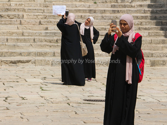 Placard Picture 2