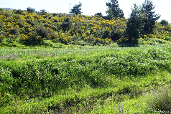 Fields Off Highway #3855 1