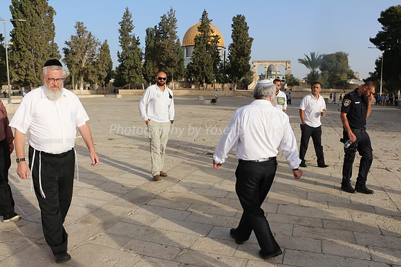 Walking Backwards 1