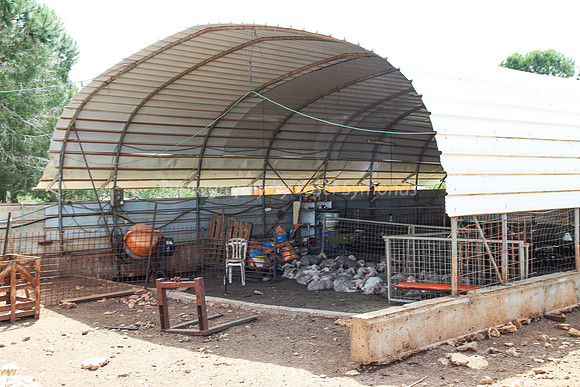 Lamb Pen 1