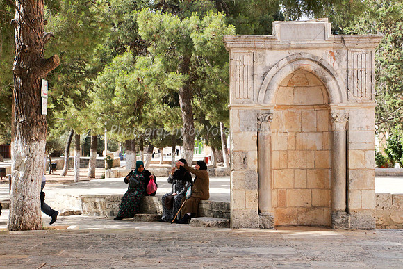 Arab Women Sitting on the Temple Mount