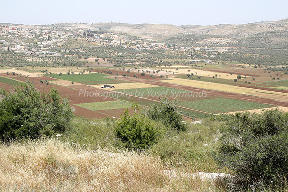View of Dotan Valley from Maoz Tzvi 1
