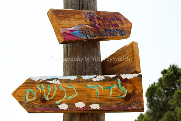 Signpost -- Maoz Tzvi