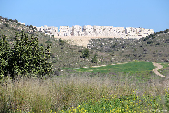 Gimmel 1 RBSA from Lupin Hill