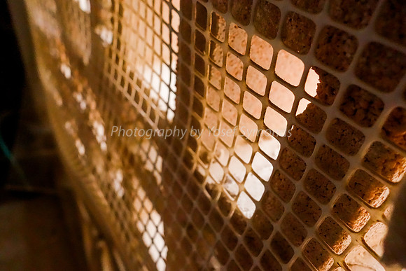 Bird Netting Over Hollow Blockwork 2