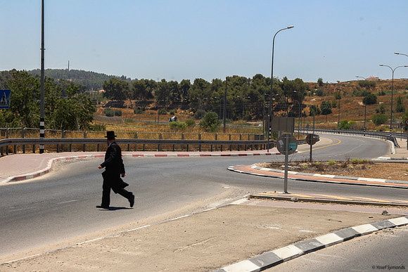Crossing Road #3855