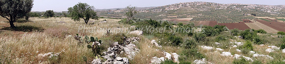 Panorama from Maoz Tzvi 2