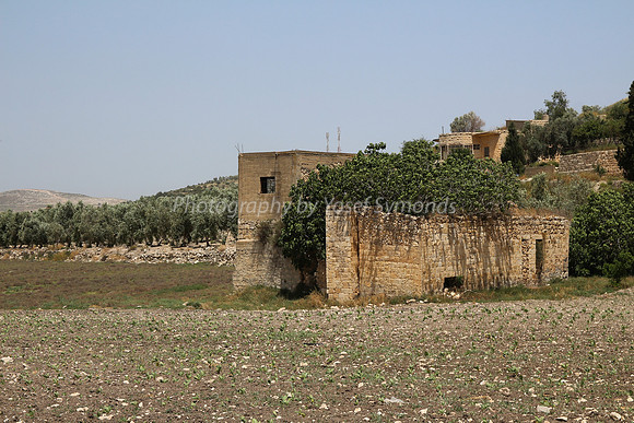 Structures Over/Adjacent to Joseph's Pit 3
