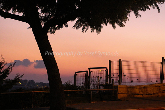 Fence at Sundown 1