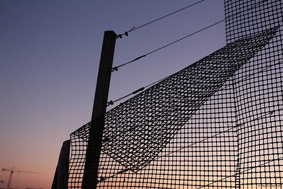 Garden Screen in Sunset 2
