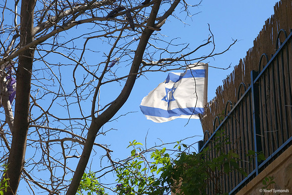 Flag on Fence 2