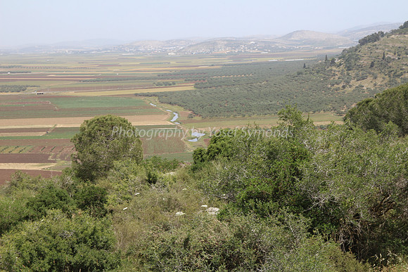 View of Dotan Valley from Maoz Tzvi 25