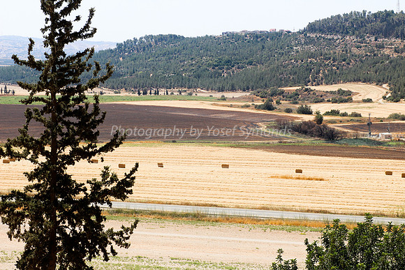 170714-KibbutzLamedHey-3828-3