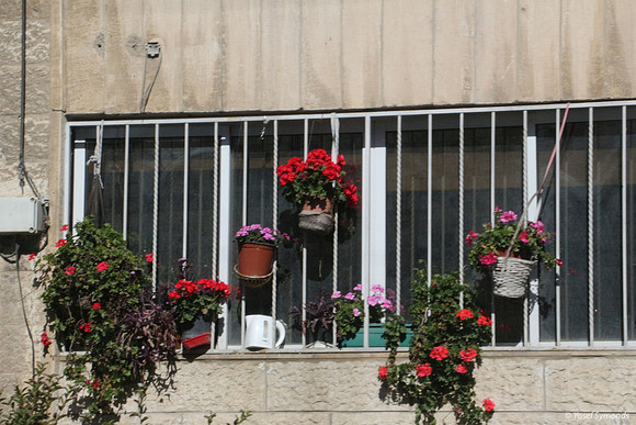 Apartment Window Jerusalem