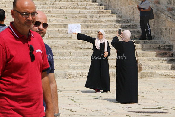 Placard Picture 1