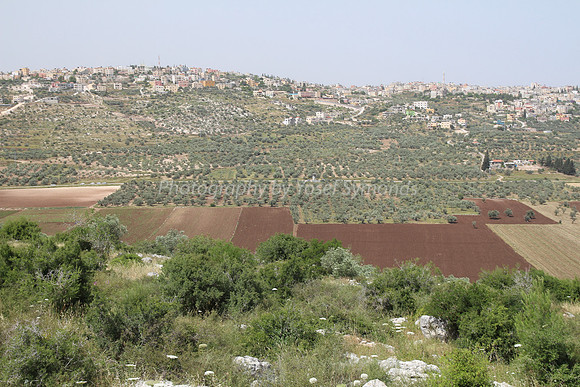 View of Dotan Valley from Maoz Tzvi 19