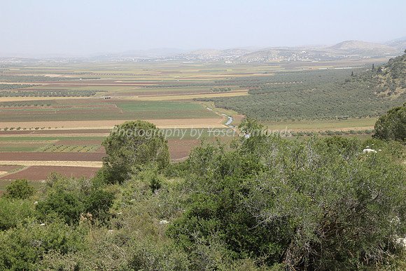 View of Dotan Valley from Maoz Tzvi 9
