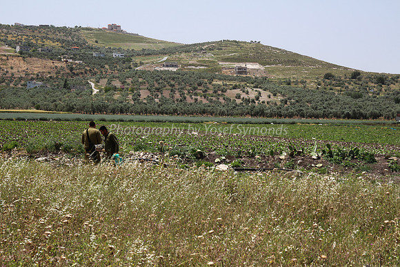 Soldiers in the Field - Joseph's Pit 1