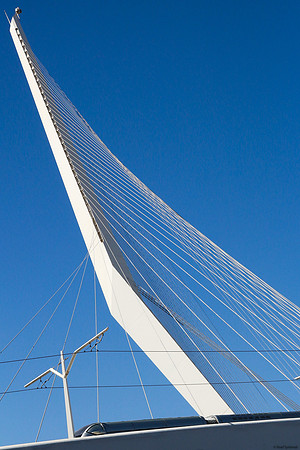 String Bridge Jerusalem with Light Rail 1