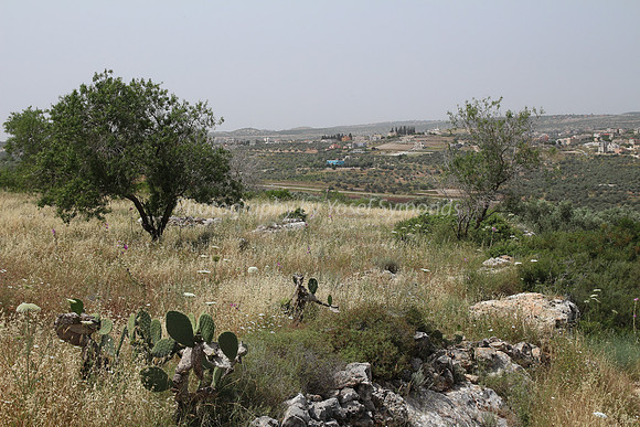 View of Dotan Valley from Maoz Tzvi 17