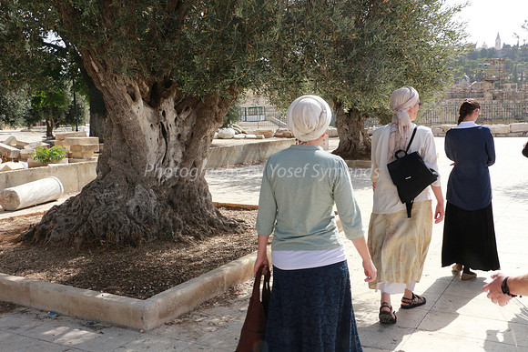 Bride Leading Mother