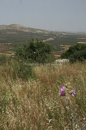 View of Dotan Valley from Maoz Tzvi 26