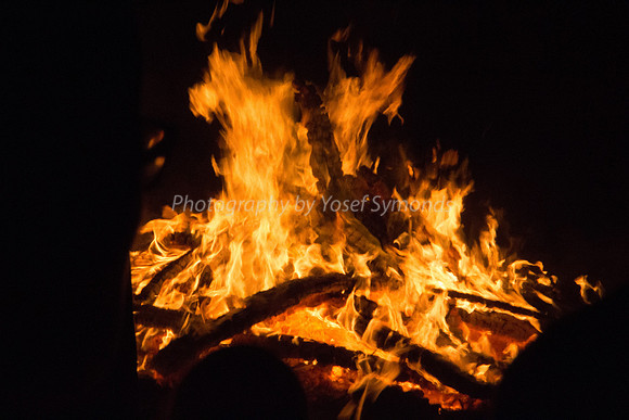 160525-LagBaomer-6842