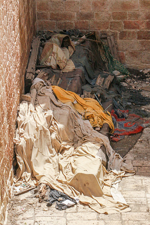 Cedar Wood Rotting Outside 2